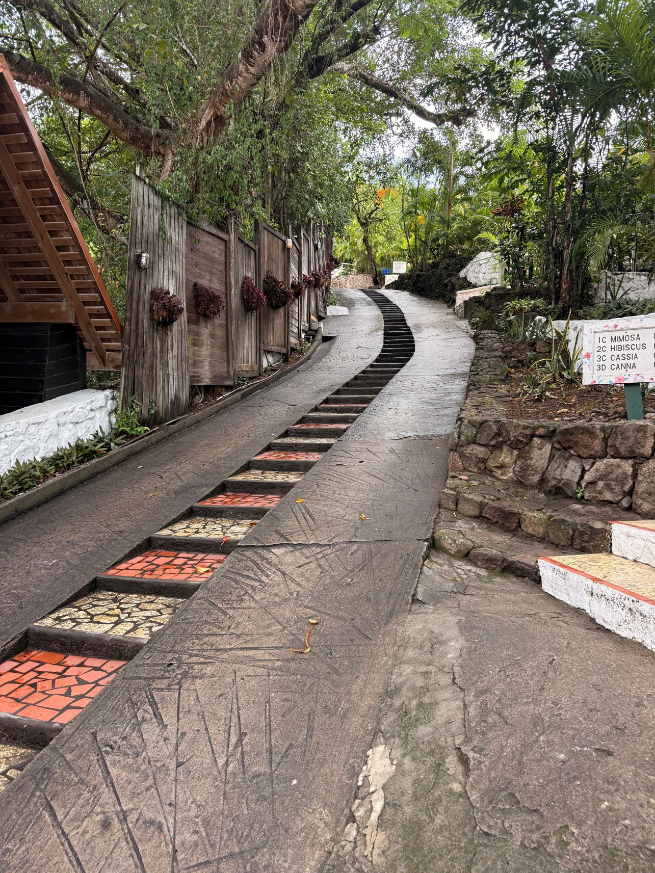 翡翠山度假村-旅行者