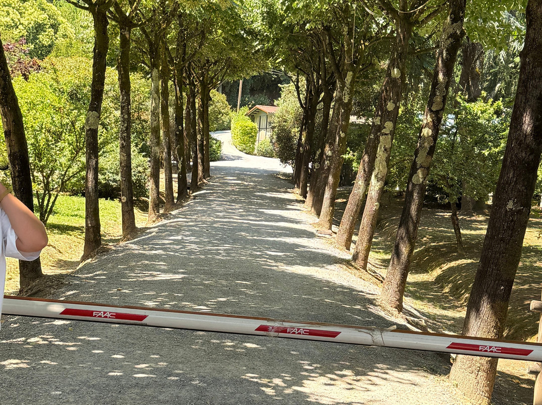 Fattoria Il Poggio-Montecarlo必去景点