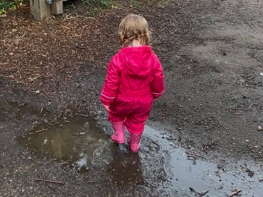 Quex Adventure Farm Park-Birchington必去景点