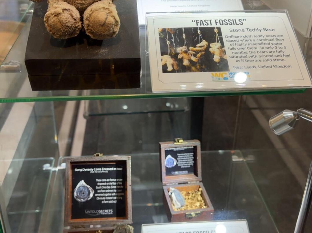 Wonders Center & Science Museum-Dickson必去景点