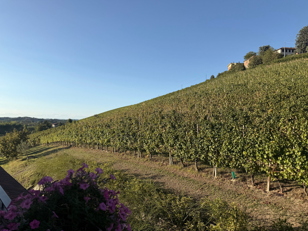 Agriturismo Ed Mo
