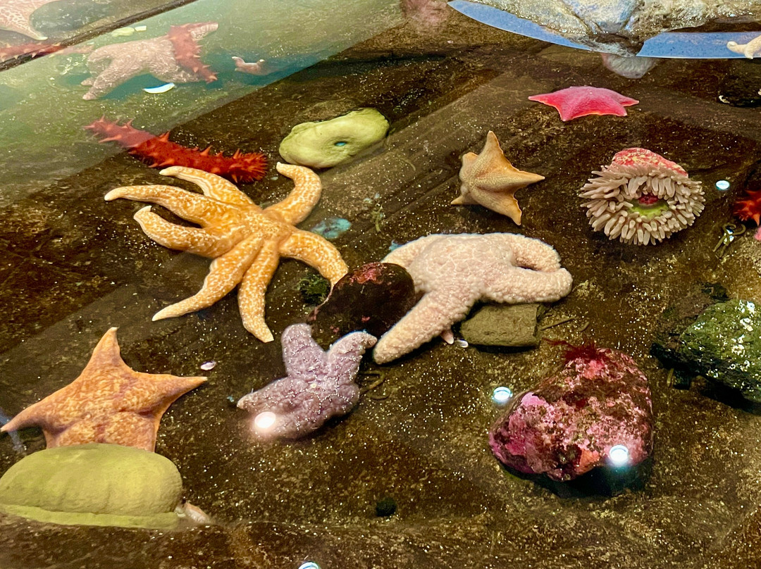Oregon Coast Aquarium-纽波特必去景点