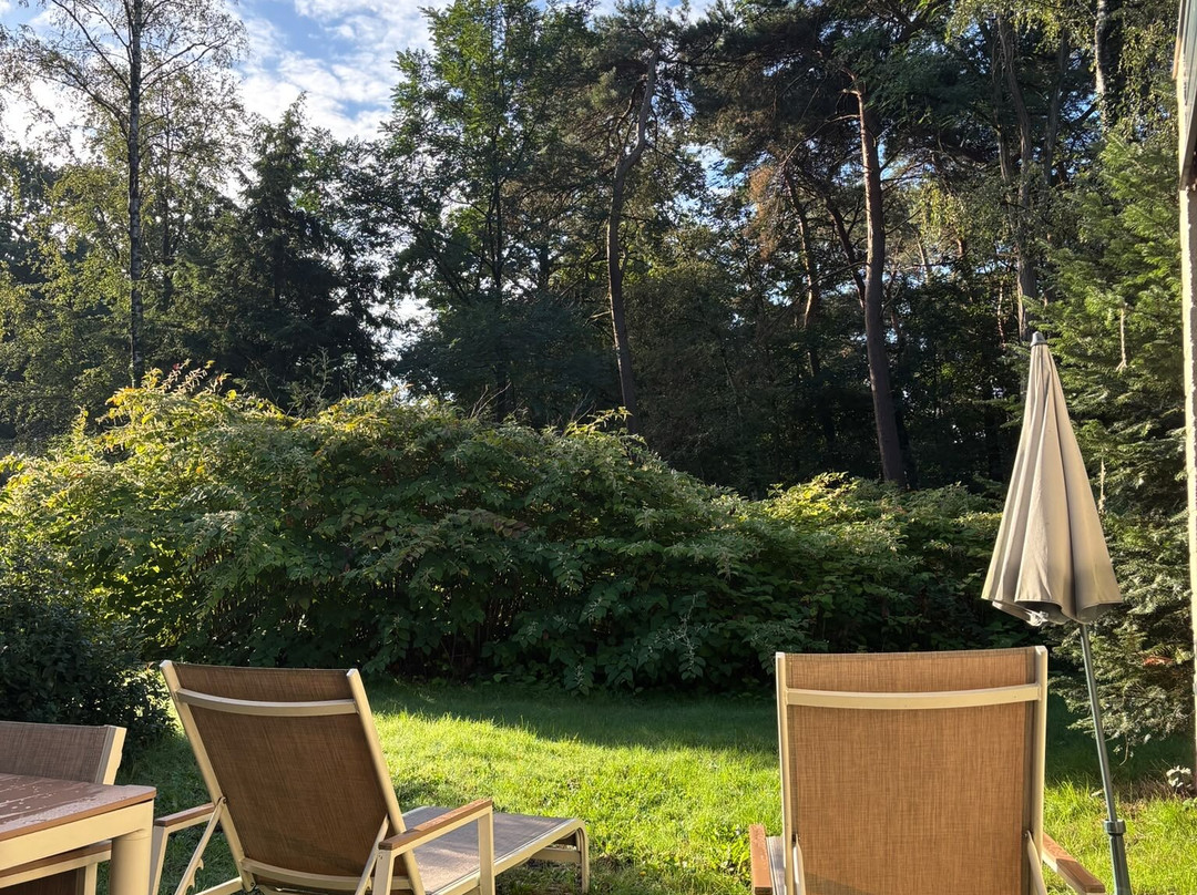 Center Parcs Het Meerdal America主图