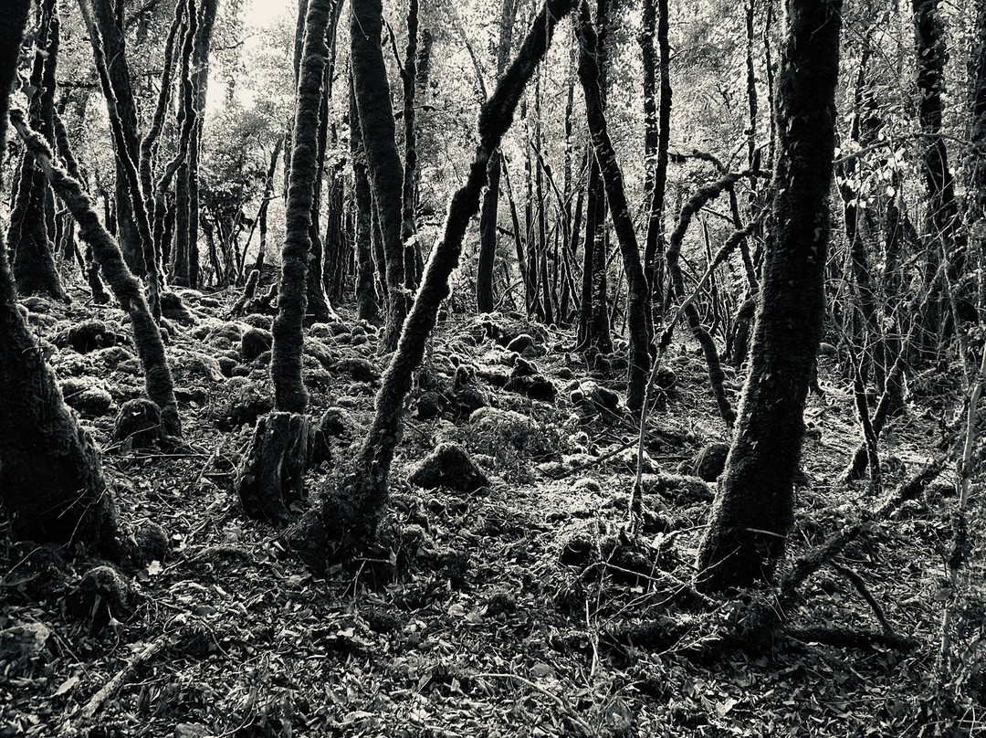 Village Troglodytique de la Madeleine-Tursac必去景点