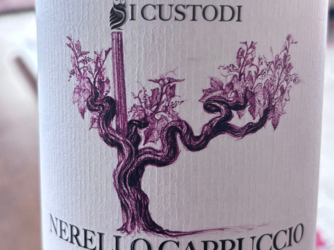 Wine tasting at I Custodi delle Vigne dell'Etna-Solicchiata必去景点