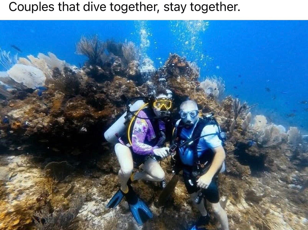St. Thomas Dive Center-Bolongo Bay必去景点