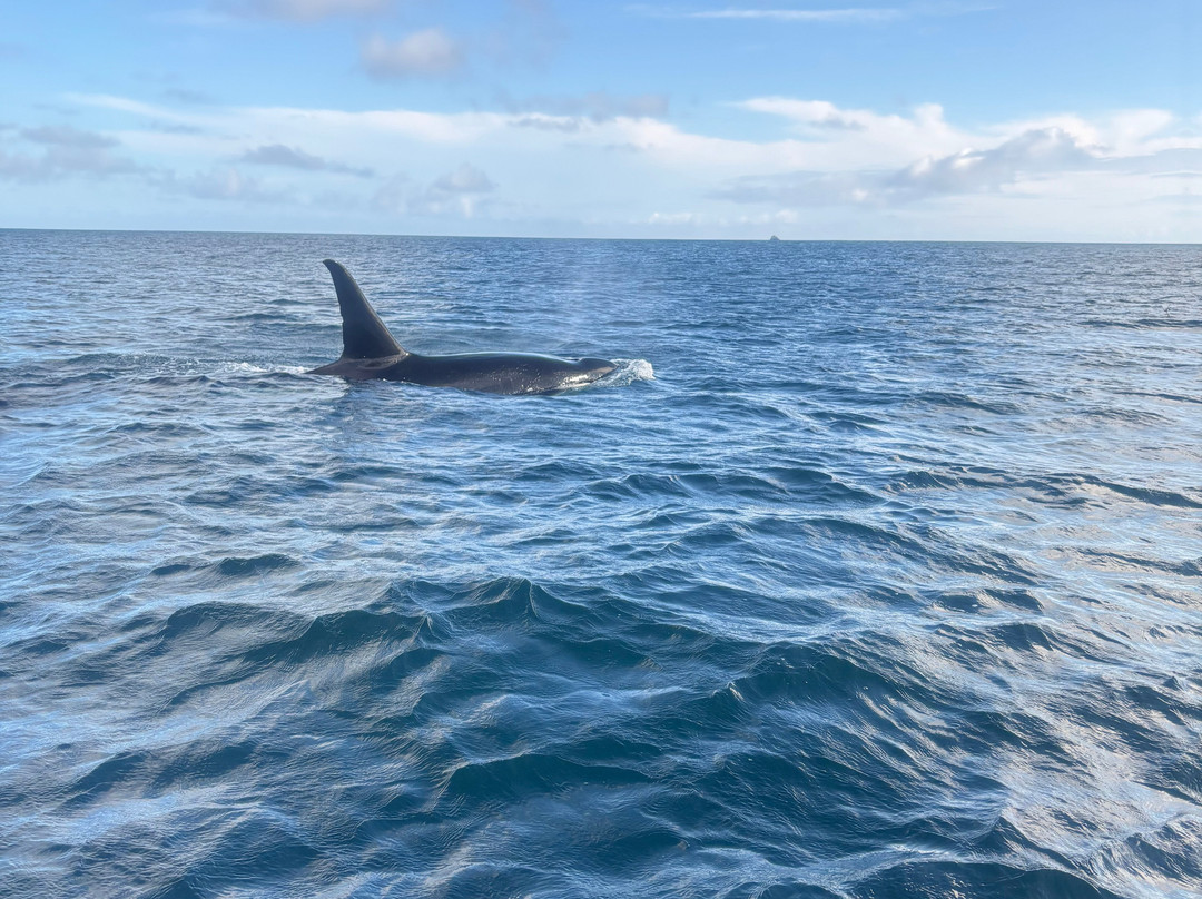 Eco-Challenger Galapagos Tour Agency-圣克里斯托瓦尔必去景点