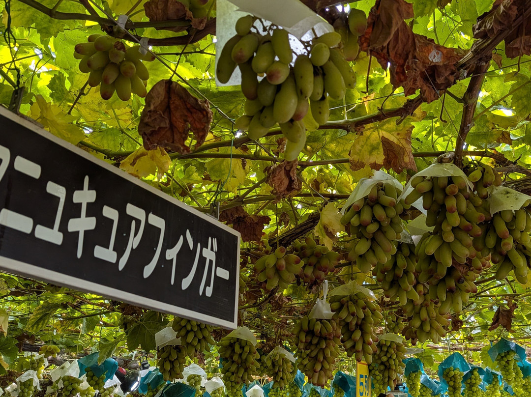 Ichikoen-甲州市必去景点
