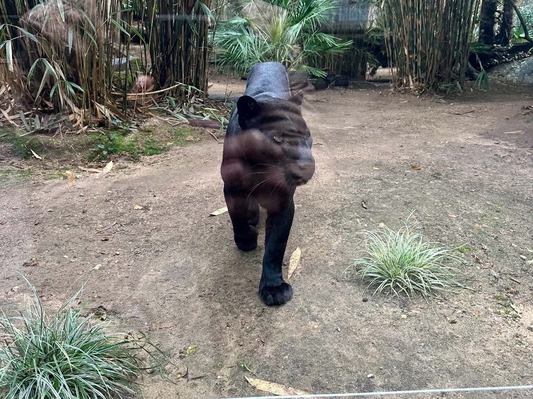 Zoo de La Fleche-La Fleche必去景点