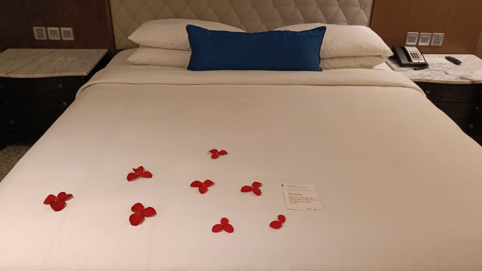 卢迪亚纳凯悦酒店-旅行者