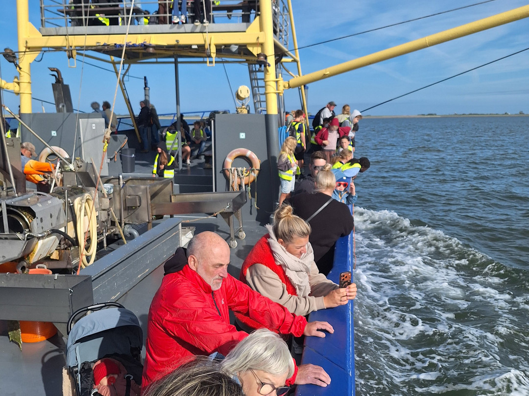 Het Wad op -TX10 & TX20-Oudeschild必去景点