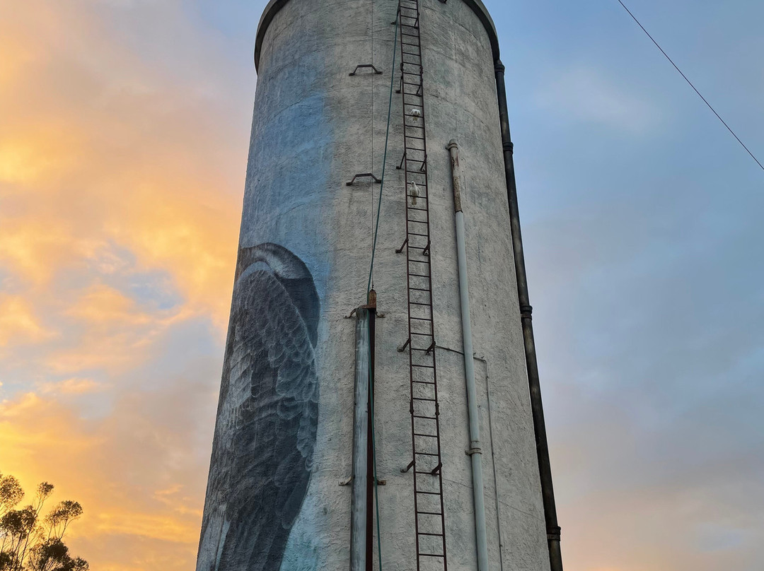 Lismore Water Tower Art-Lismore必去景点