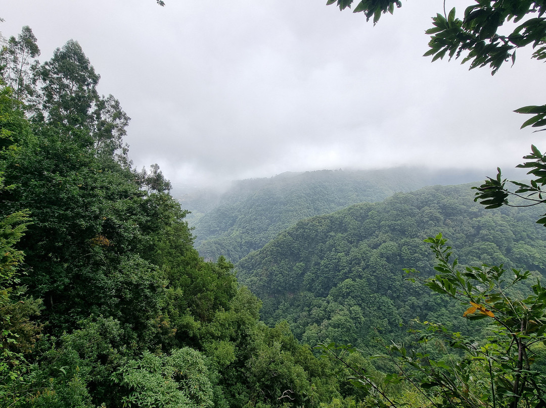Levada Do Reí
