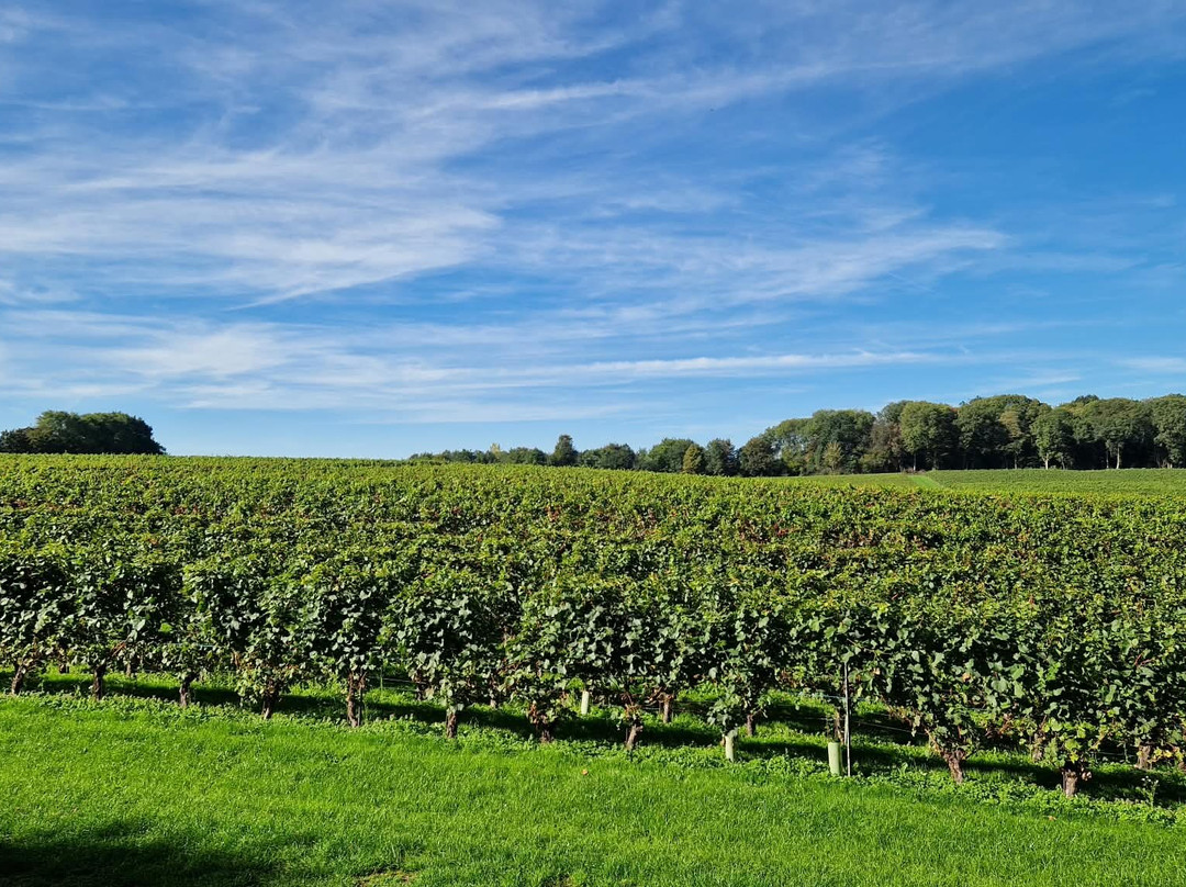 Genoels-Elderen Wine Castle-Riemst必去景点