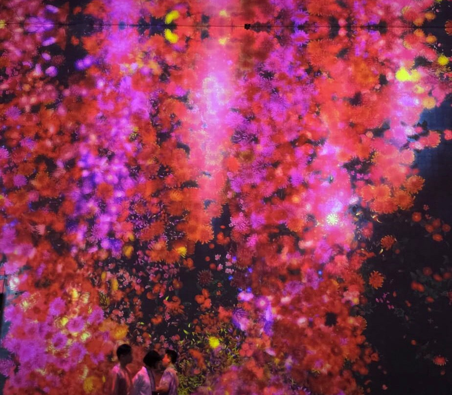 Teamlab Borderless Tokyo-港区必去景点