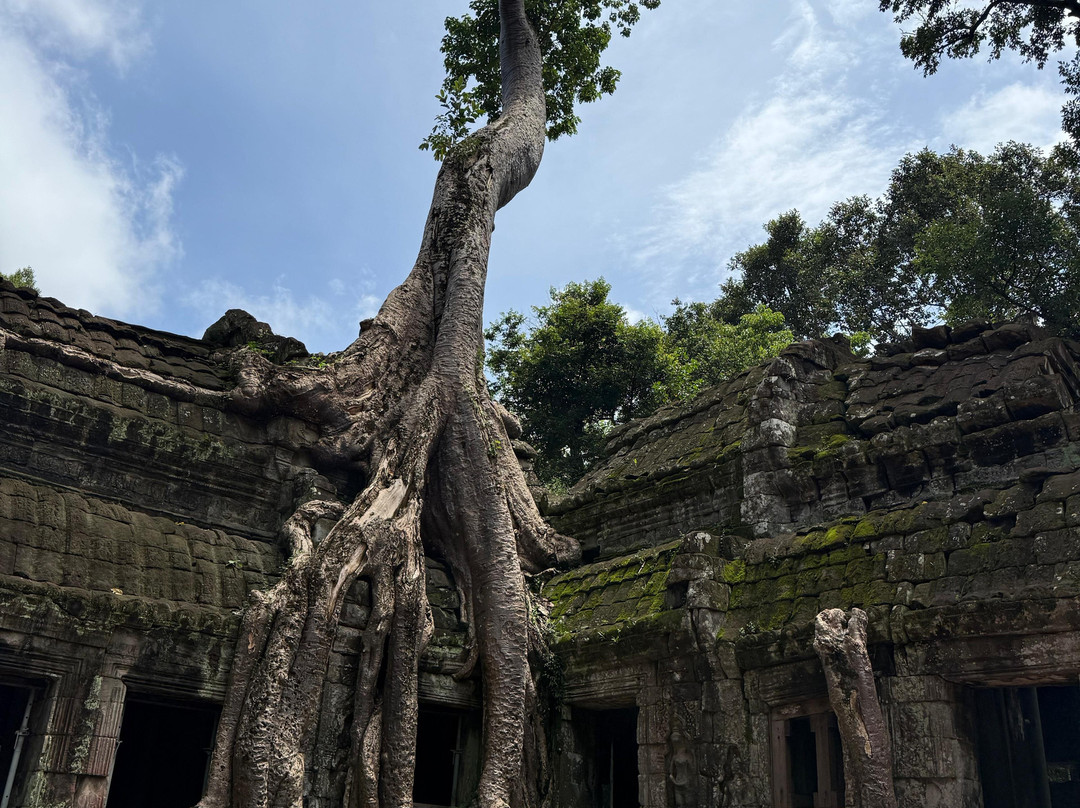 Angkor en Espanol-暹粒必去景点