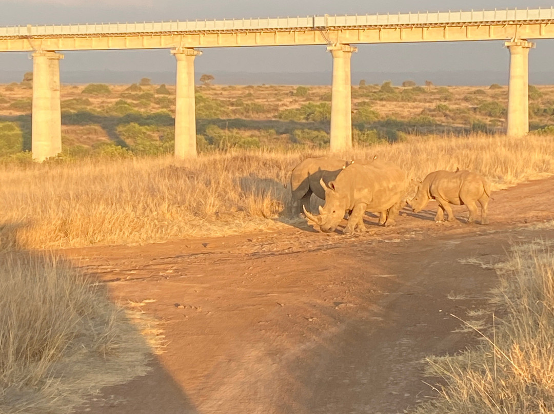 内罗毕国家公园-内罗毕必去景点