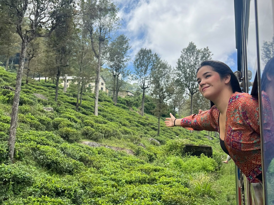 Amusing Lanka Tours-科斯戈德必去景点