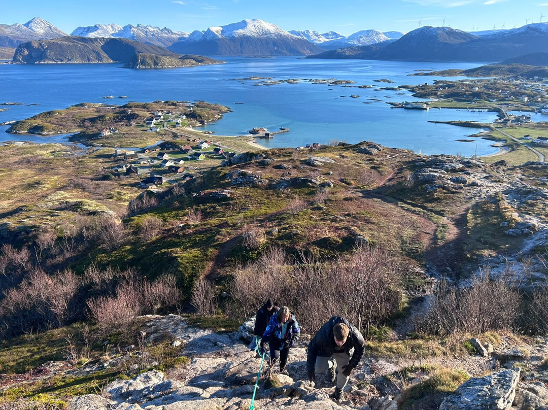 Hillesøytoppen