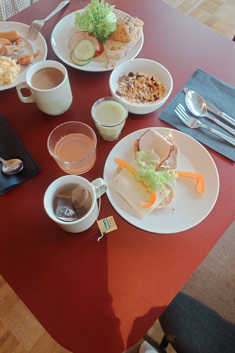 舒适酒店索尔纳阿雷纳斯塔登-旅行者