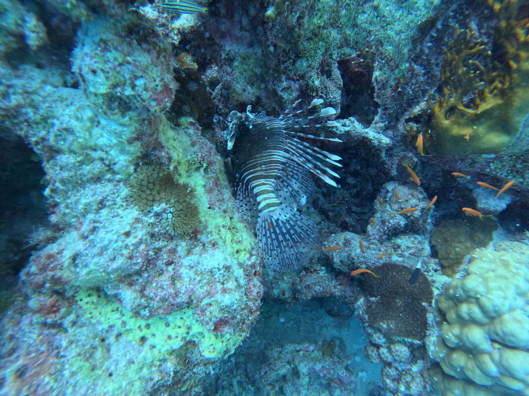 House Reef-Neuendorf必去景点