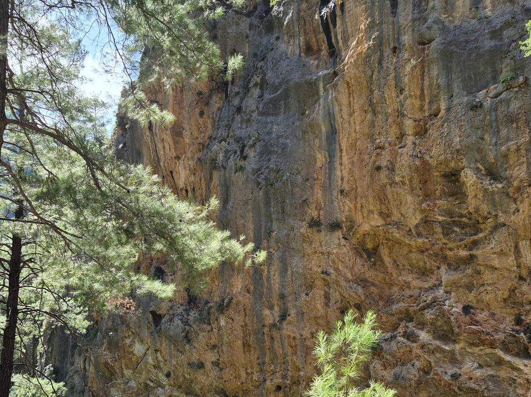 Agia Irini Gorge-Sougia必去景点