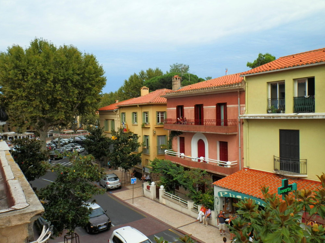 科利乌尔酒店住宿-Hotel La Bona Casa