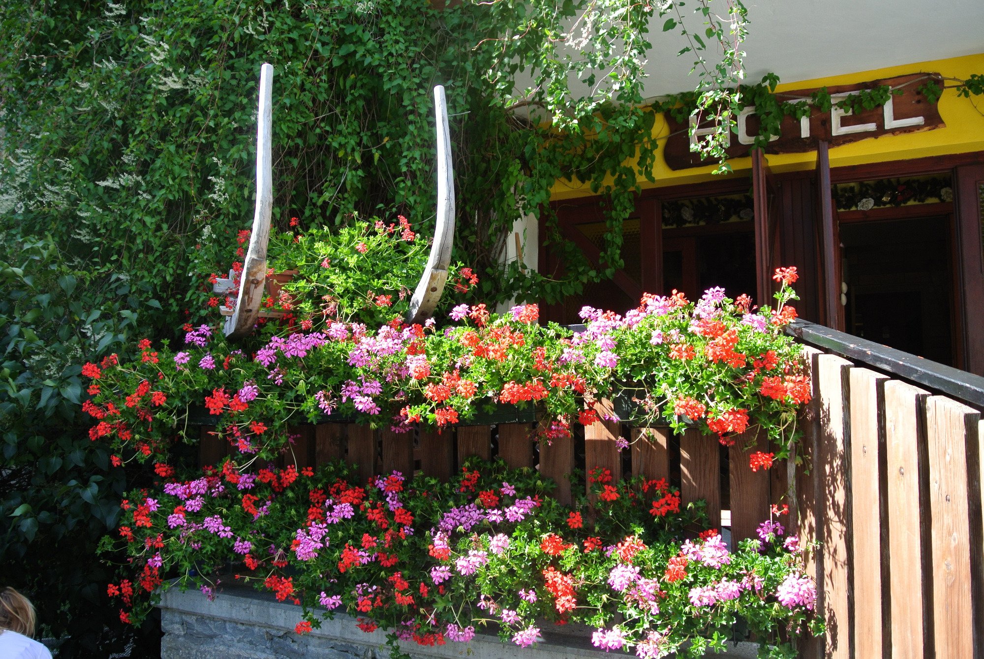 Albergo Alpenrose-官方
