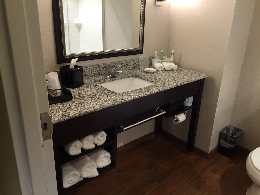 亨茨维尔酒店住宿-Holiday Inn Express & Suites Huntsville West - Research Park By IHG
