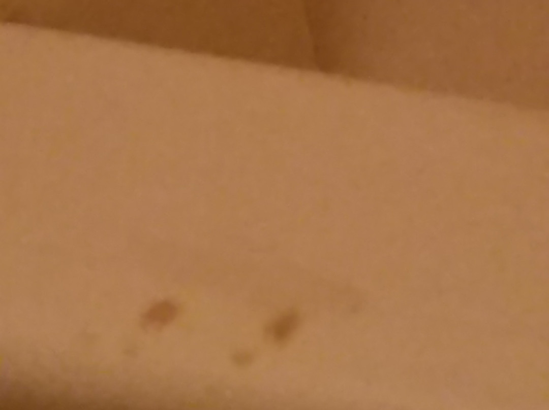 Windwood Inn Brent Centreville