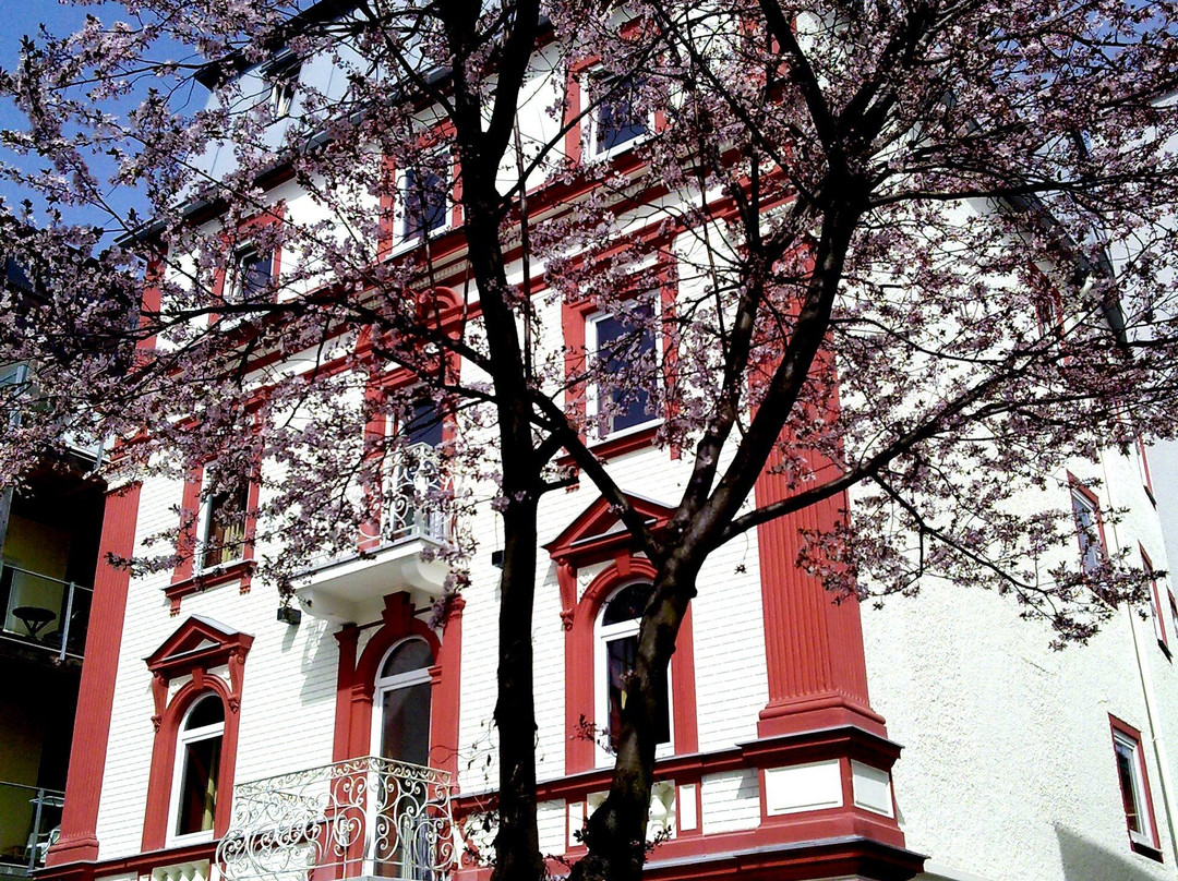 Hotel Traube