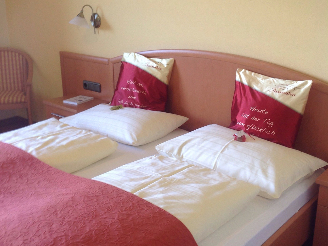 阿布特瑙酒店住宿-Traunstein Gasthaus