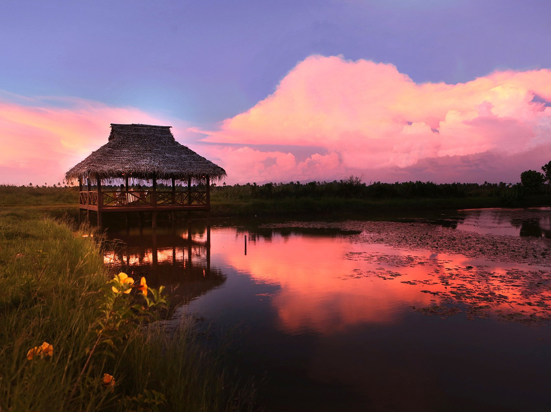 库玛拉孔酒店住宿-Coconut Lagoon, CGH Earth