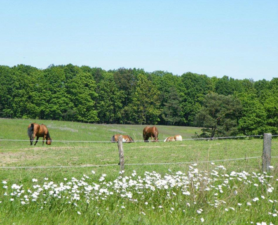古特萨诺沃酒店