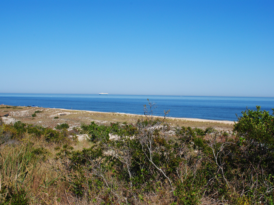 Cape Henlopen State Park景点图片