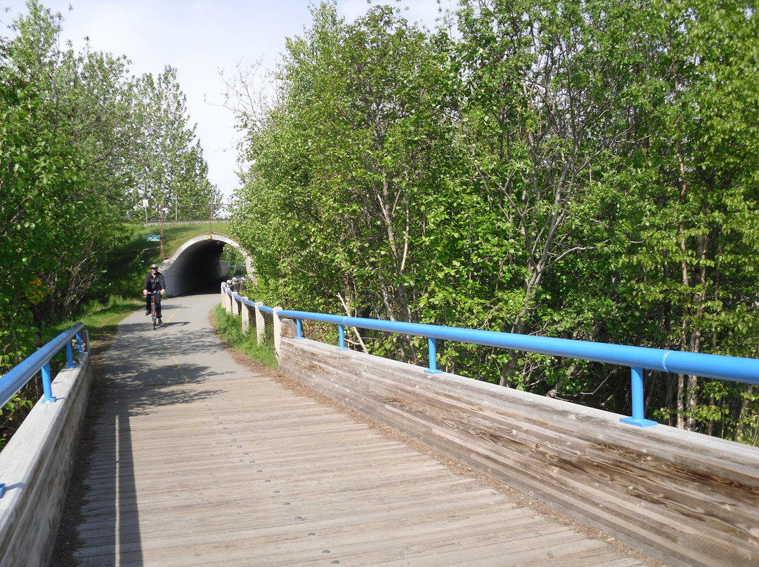 Tony Knowles Coastal Trail