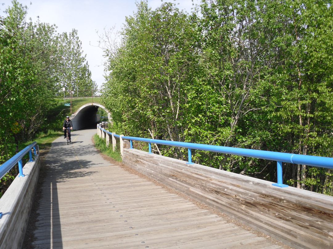 Tony Knowles Coastal Trail景点图片