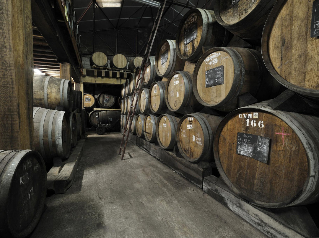 Calvados Comte Louis De Lauriston景点图片