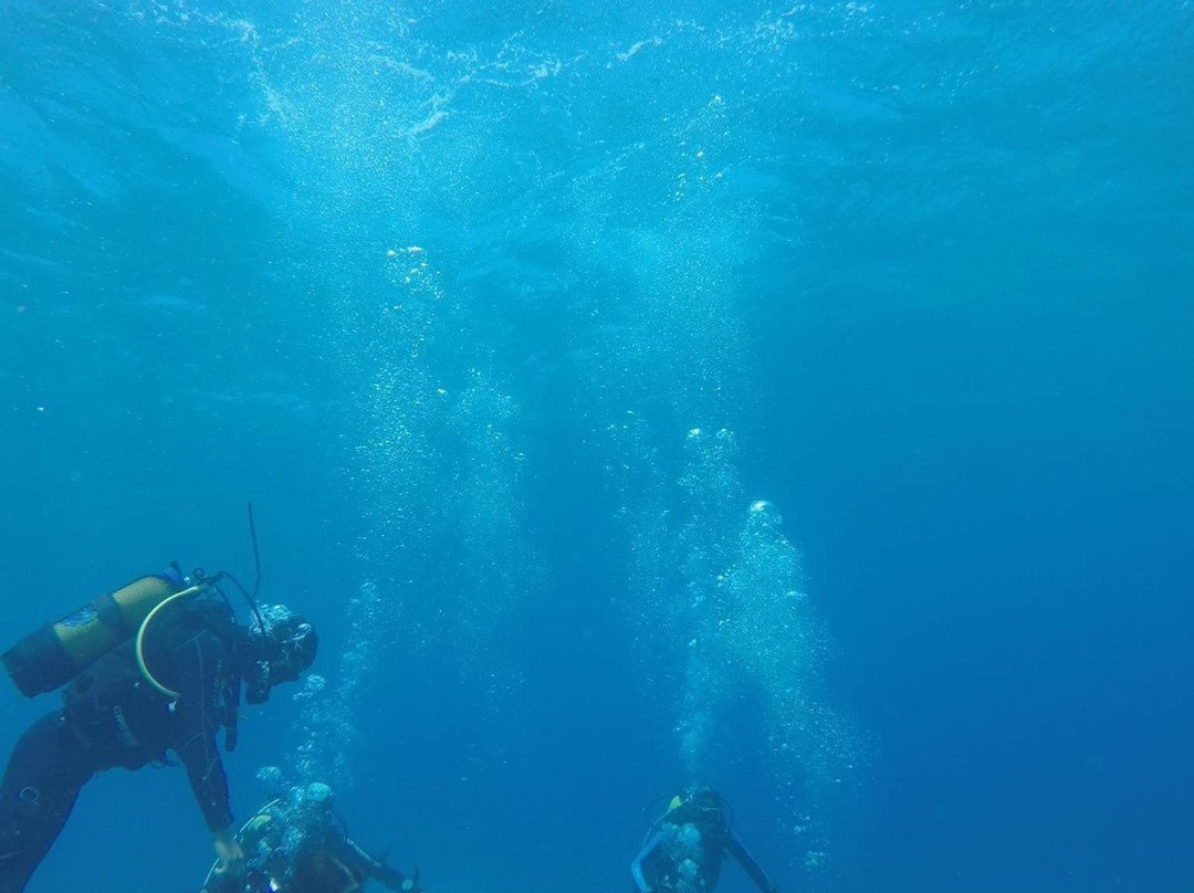 Stay Wet Diving Center-古韦斯必去景点