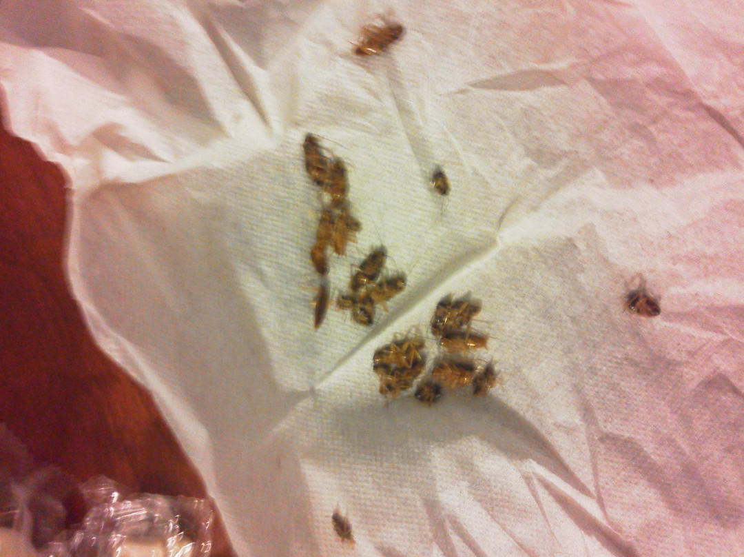 Hampton Bay Plaza and Suites