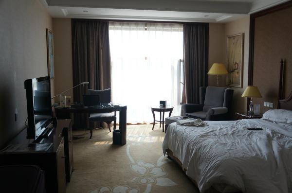 沧州盛泰国际酒店-客卧