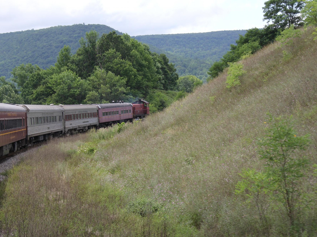 Tioga Central Railroad景点图片