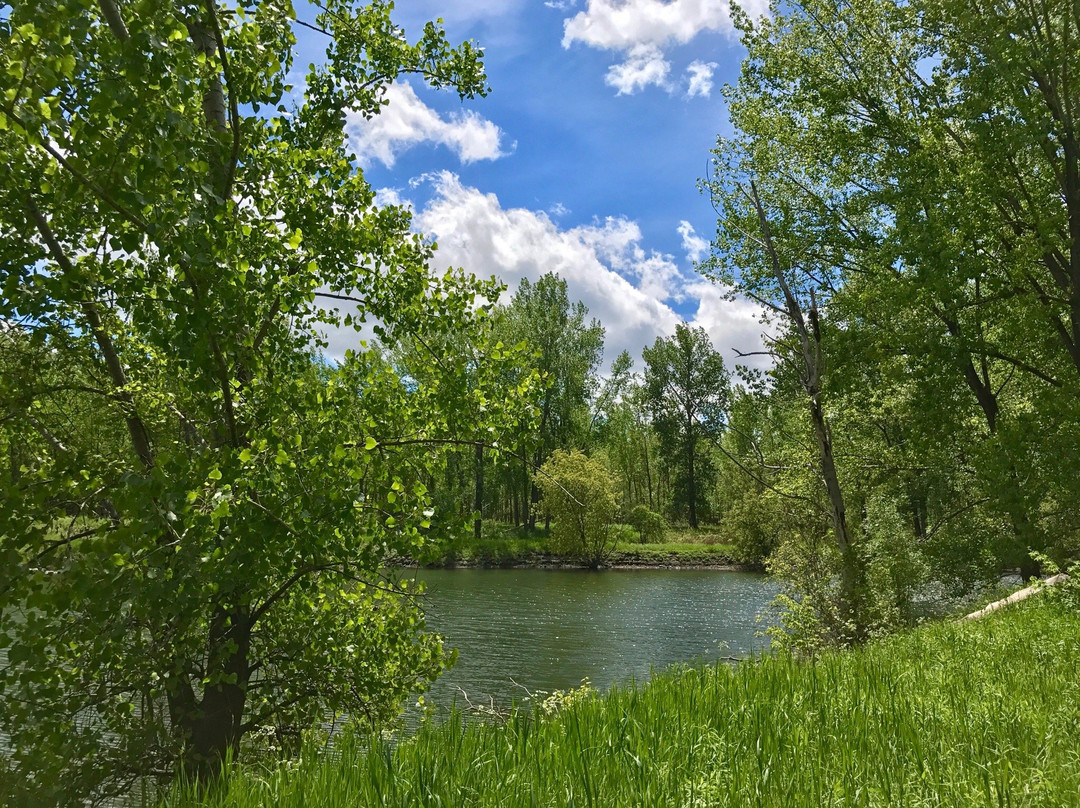 Parc Des Iles de Boucherville景点图片