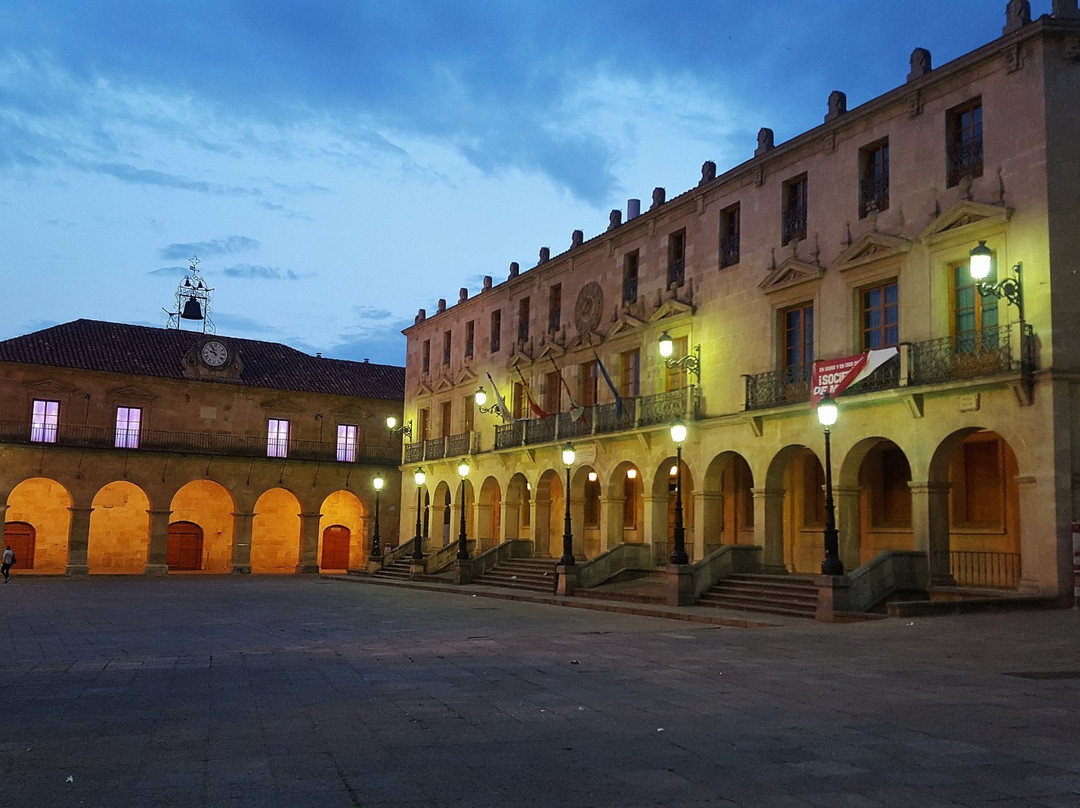 Plaza Mayor de Soria景点图片