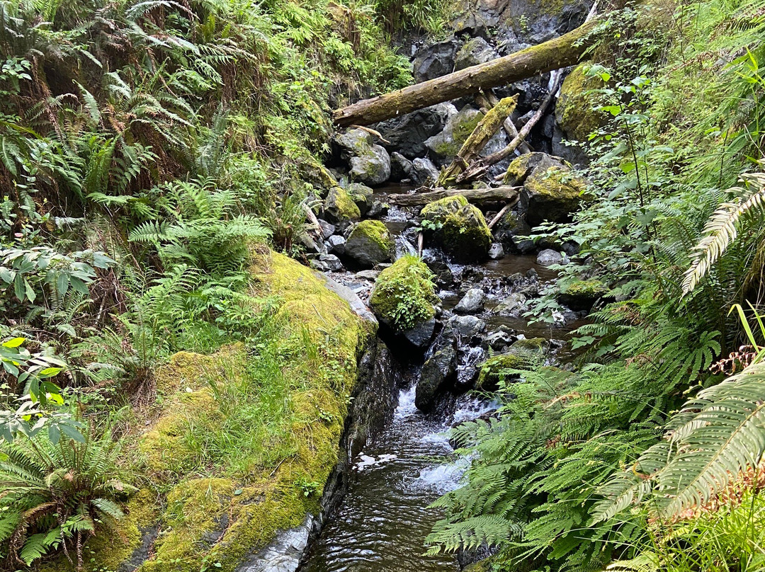 Secret Beach-布鲁金斯必去景点