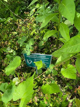 Merrimac Farm Wildlife Management Area景点图片