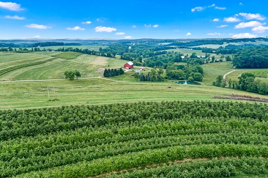 Orchard Valley Farm景点图片