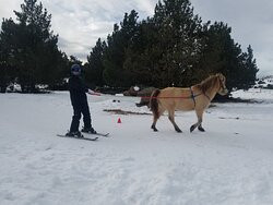 Mountain Pony景点图片