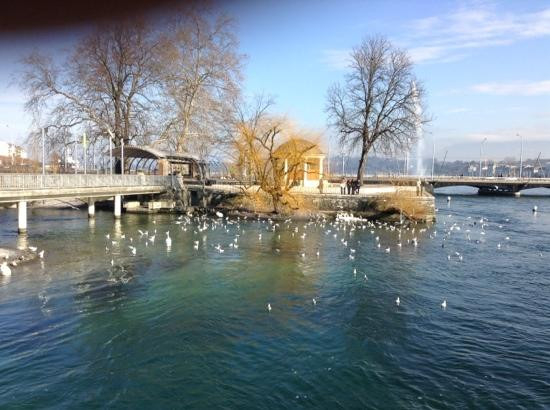 Ile Rousseau-日内瓦必去景点