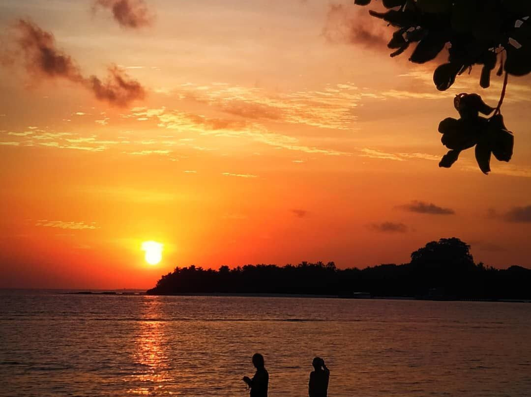 Holiday Garden Rasdhoo主图